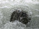 Thumbnail of IMG_0028.jpg