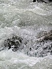 Thumbnail of IMG_0042.jpg