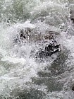 Thumbnail of IMG_0047.jpg