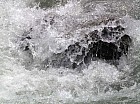 Thumbnail of IMG_0052.jpg