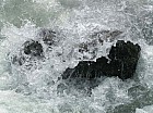 Thumbnail of IMG_0053.jpg
