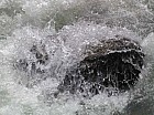 Thumbnail of IMG_0054.jpg