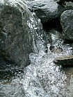 Thumbnail of IMG_0081.jpg