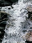 Thumbnail of IMG_0093.jpg