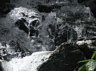 Thumbnail of IMG_0102.jpg