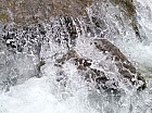 Thumbnail of IMG_0151.jpg