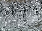 Thumbnail of IMG_0158.jpg