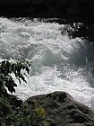 Thumbnail of IMG_0206.jpg