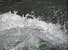 Thumbnail of IMG_0230.jpg