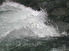 Thumbnail of IMG_0231.jpg