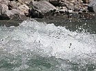 Thumbnail of IMG_0250.jpg