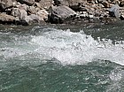 Thumbnail of IMG_0251.jpg