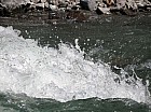 Thumbnail of IMG_0261.jpg