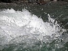 Thumbnail of IMG_0272.jpg