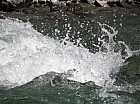 Thumbnail of IMG_0273.jpg