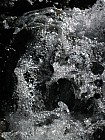 Thumbnail of IMG_0303.jpg