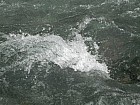 Thumbnail of IMG_0369.jpg