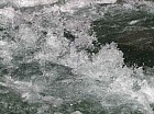 Thumbnail of IMG_0391.jpg