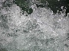 Thumbnail of IMG_0401.jpg