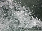 Thumbnail of IMG_0404.jpg
