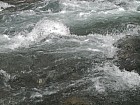 Thumbnail of IMG_0410.jpg