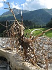 Thumbnail of IMG_0427.jpg