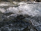 Thumbnail of IMG_0561.jpg