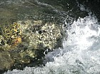 Thumbnail of IMG_0600.jpg