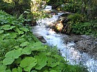 Thumbnail of IMG_0623.jpg