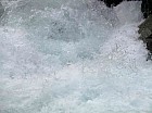 Thumbnail of IMG_0720.jpg