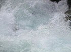 Thumbnail of IMG_0722.jpg